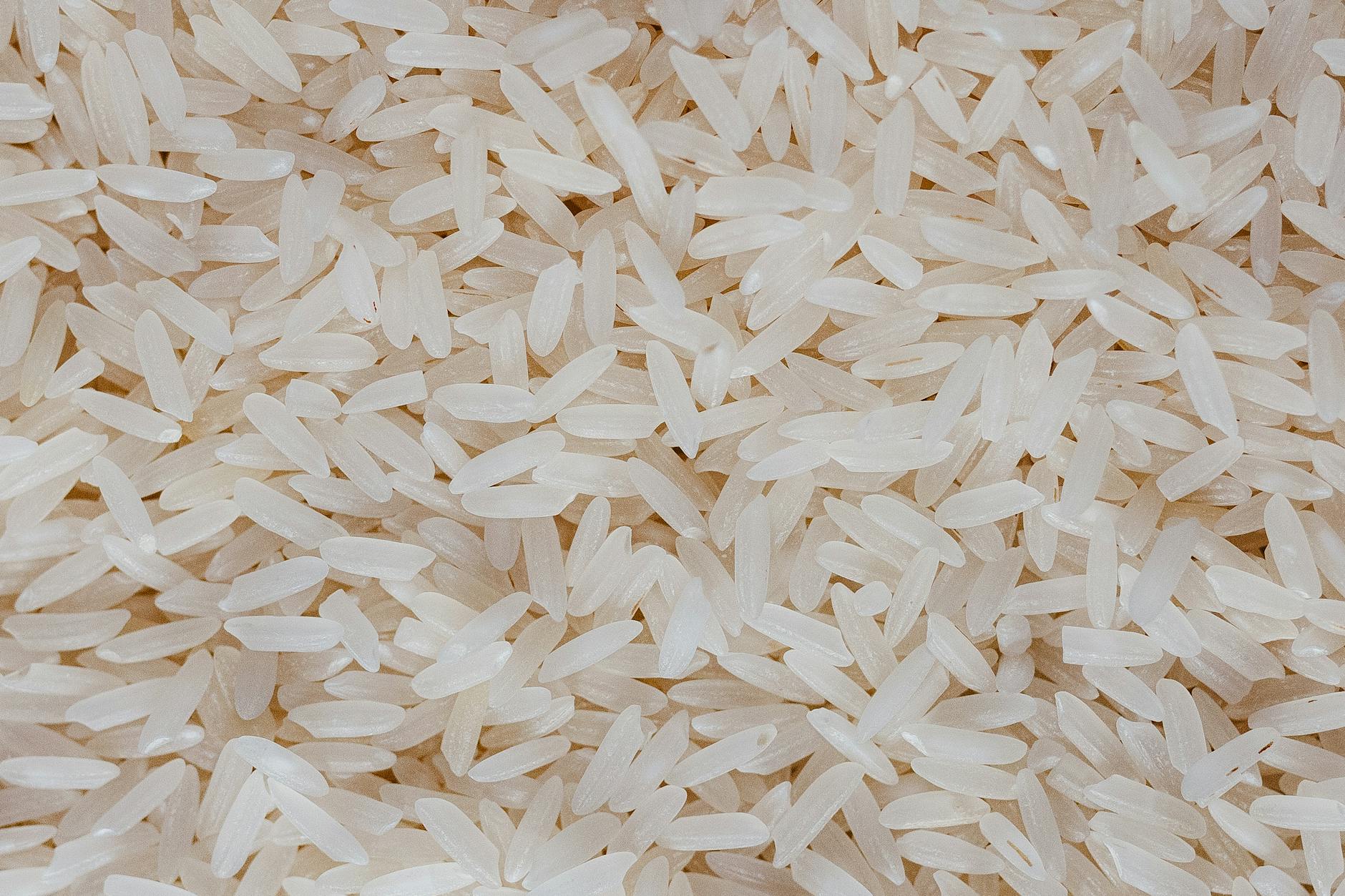 Arroz