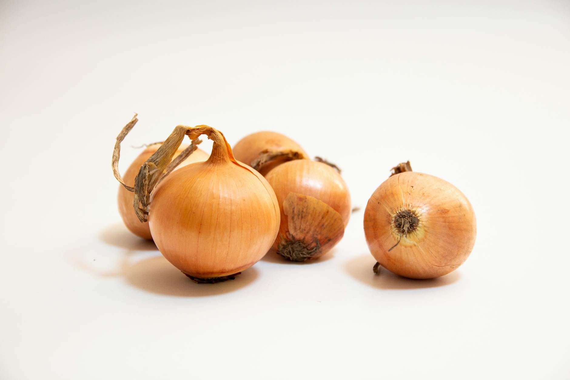 Cebolla