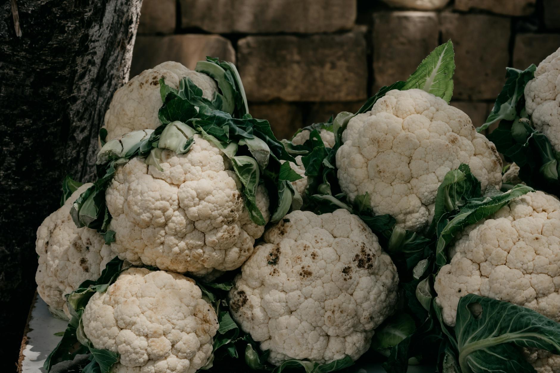Coliflor