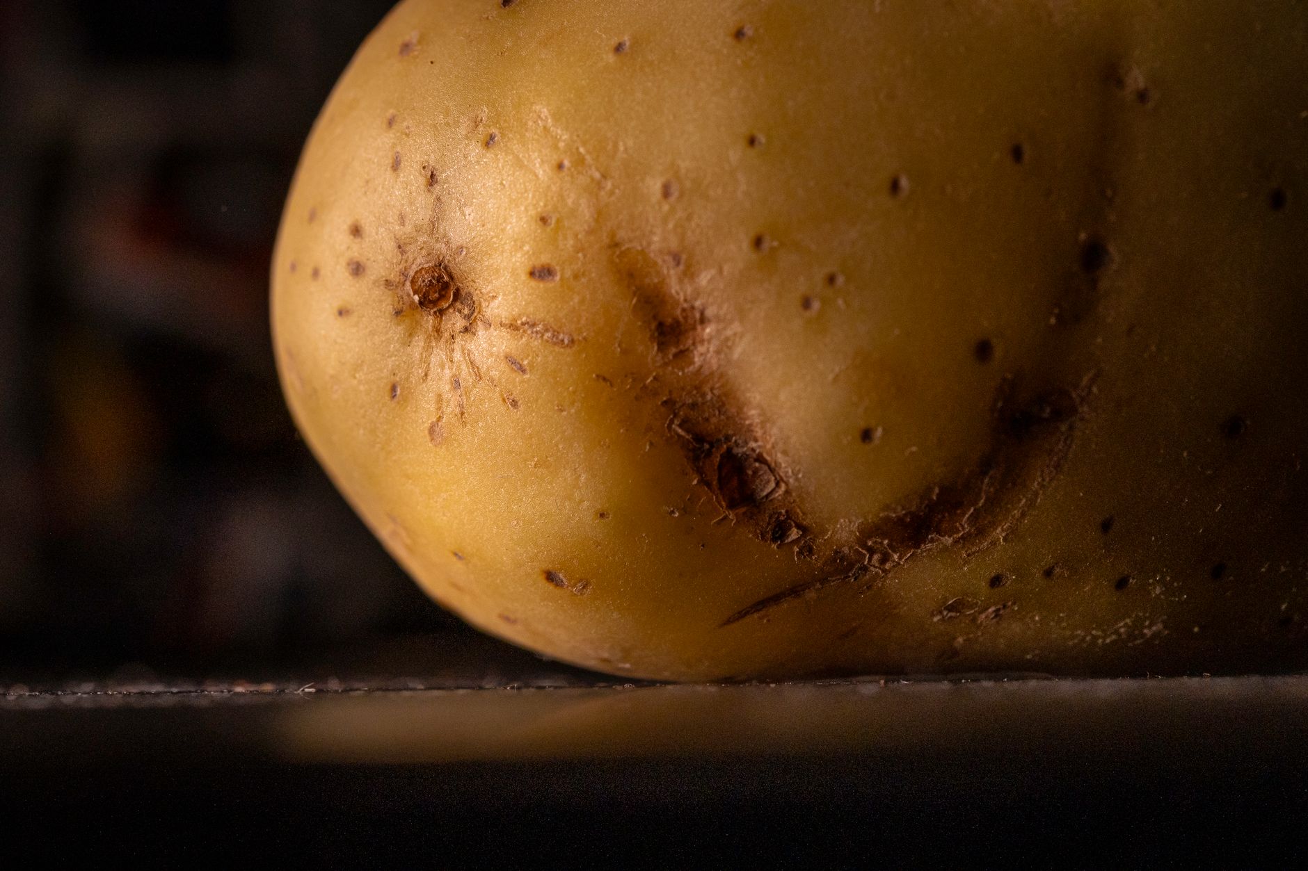 Patata