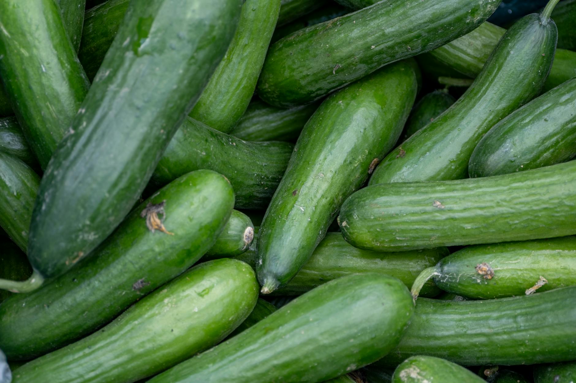 Pepino