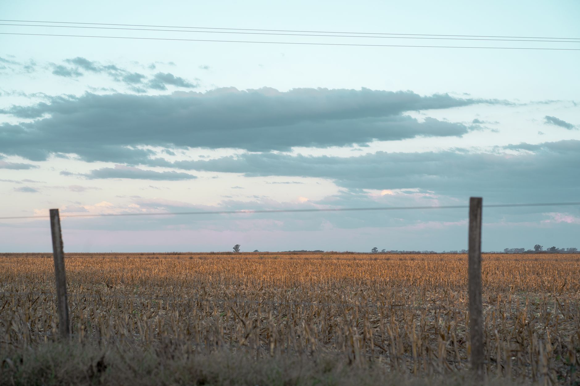 Escena rural pacífica de un campo cosechado durante el anochecer en Córdoba, Argentina.