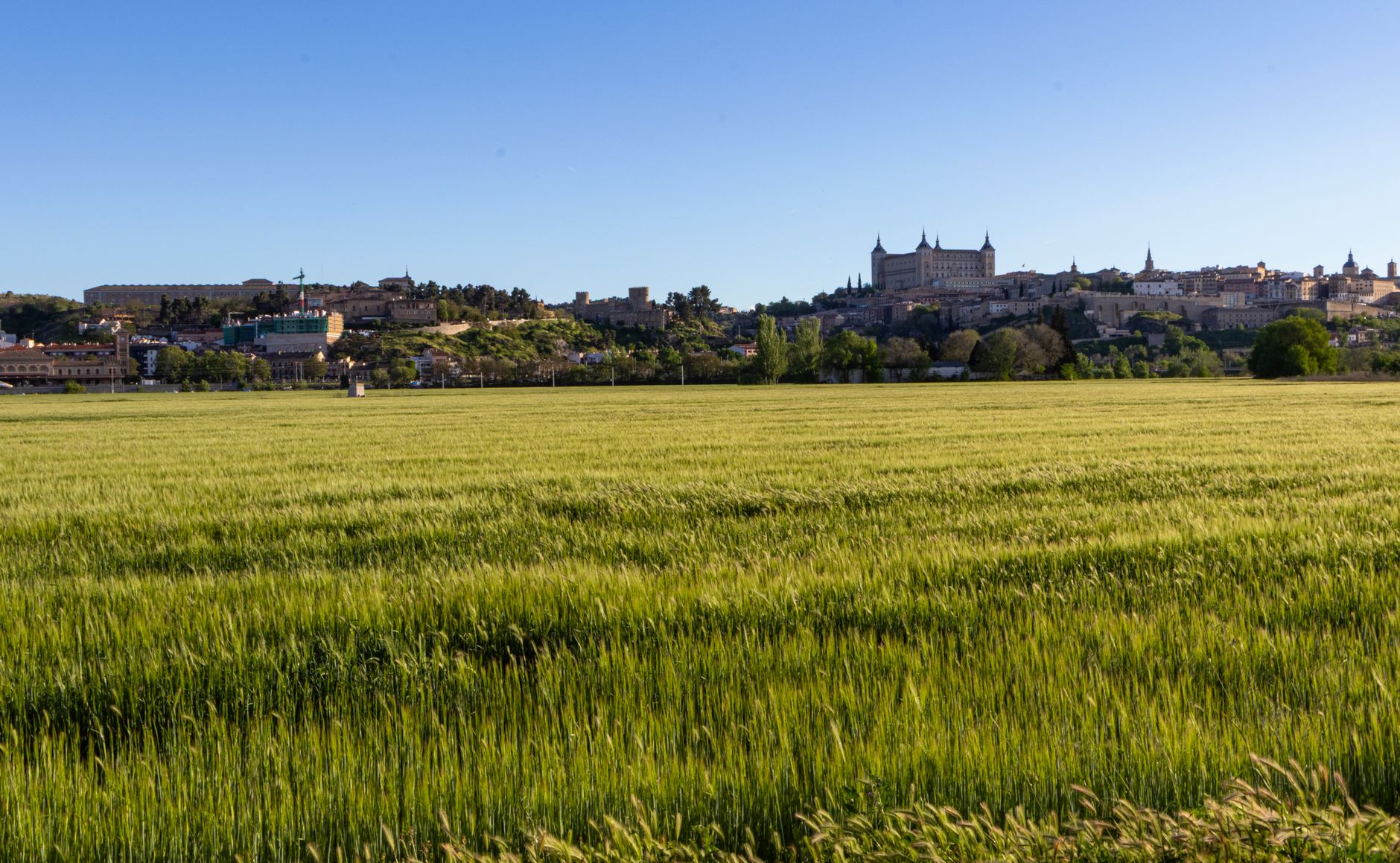 Fotos de stock gratuitas de agricultura, al aire libre, alcázar