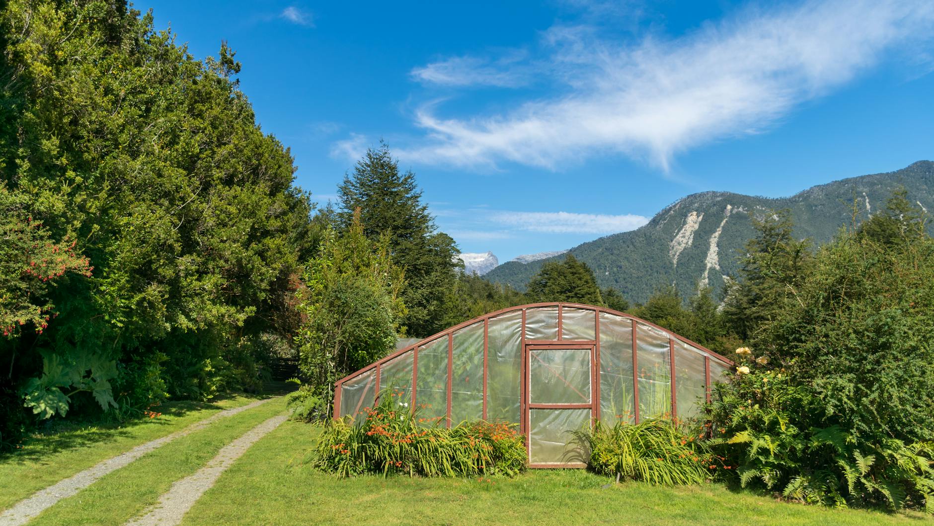 greenhouse